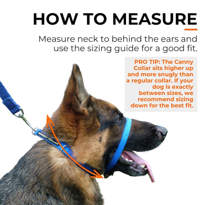 Canny Collar No-Pull Dog Headcollar - Black – Size 2