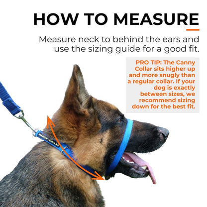 Canny Collar No-Pull Dog Headcollar - Black – Size 6