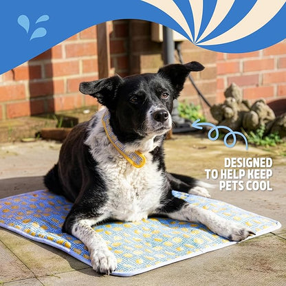 Rosewood Premium Dog Cooling Mat and Cover - 53 x 68cm
