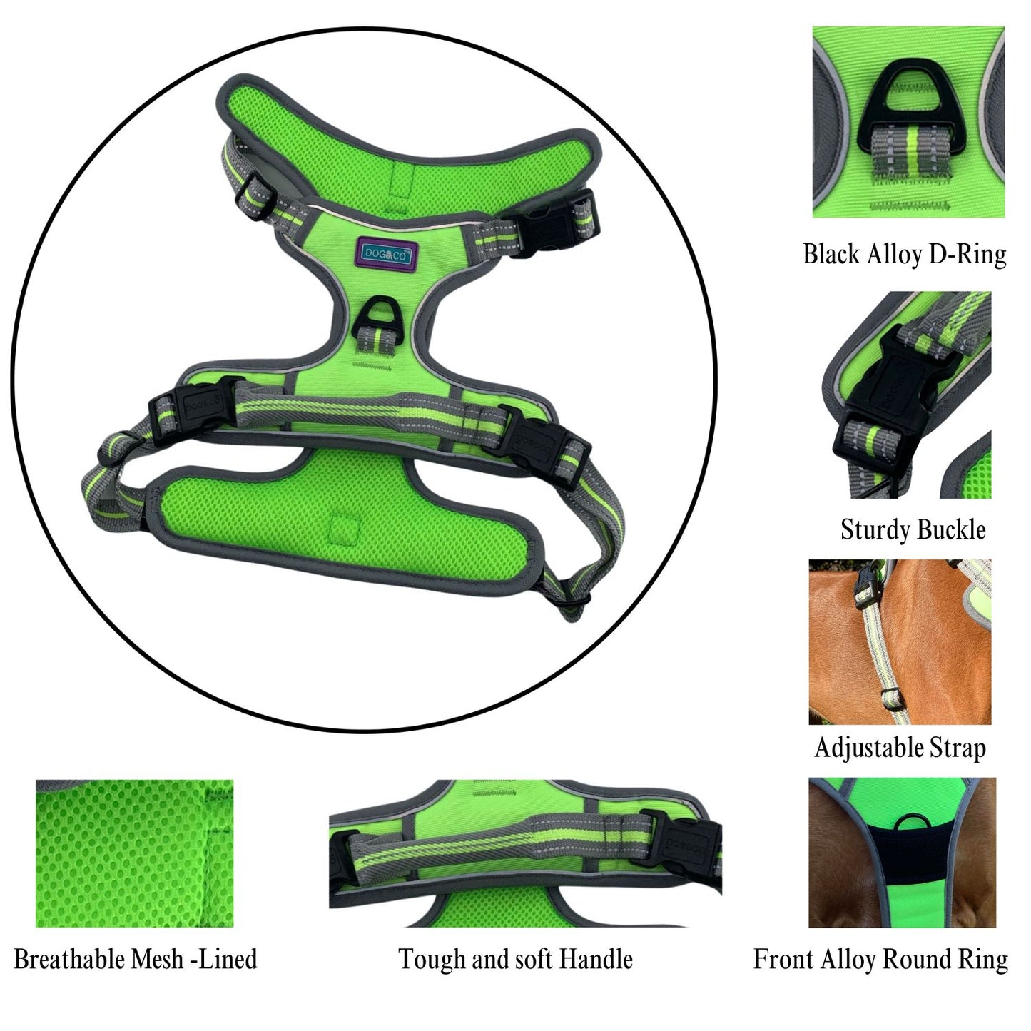 XL Sports Harness Lime