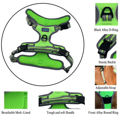 XL Sports Harness Lime