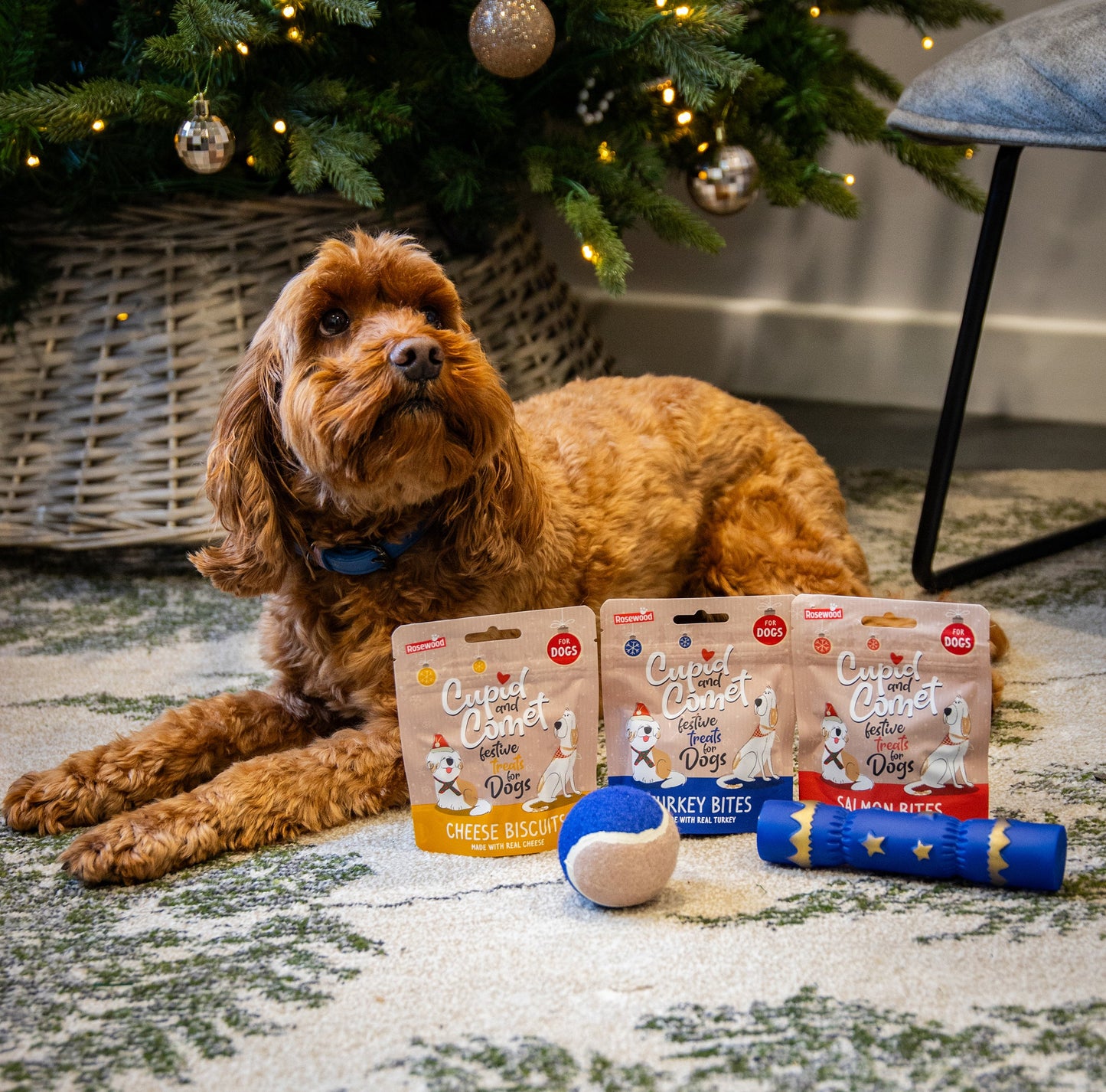 Rosewood Christmas Dinner Stocking Gift For Dogs