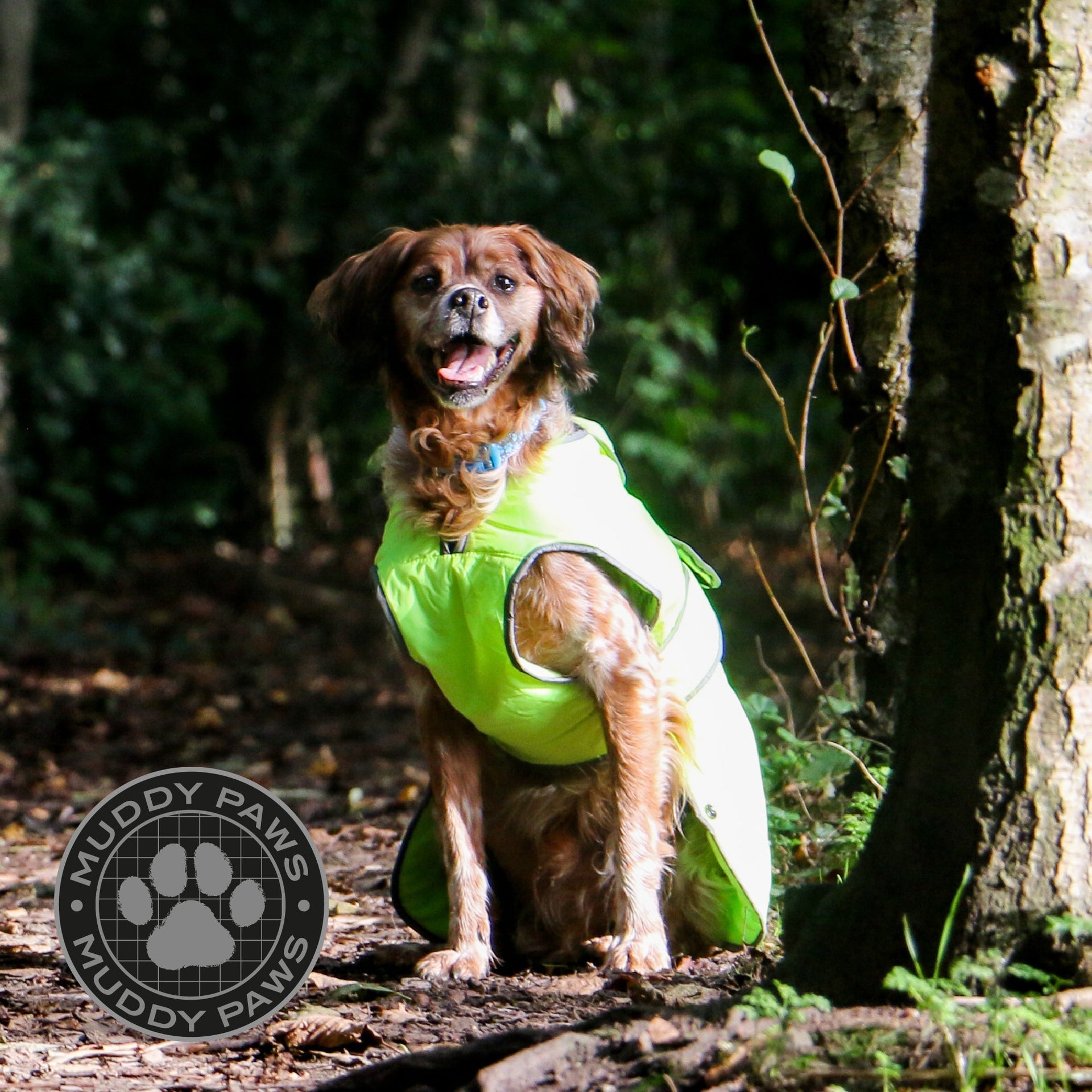 Stormguard Hi Vis Coat