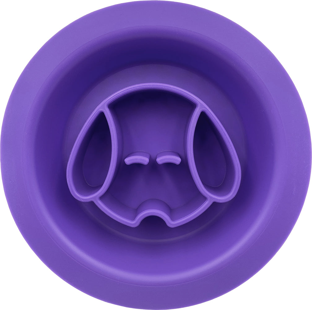 BNT Dual Sided Pet Treat Bowl