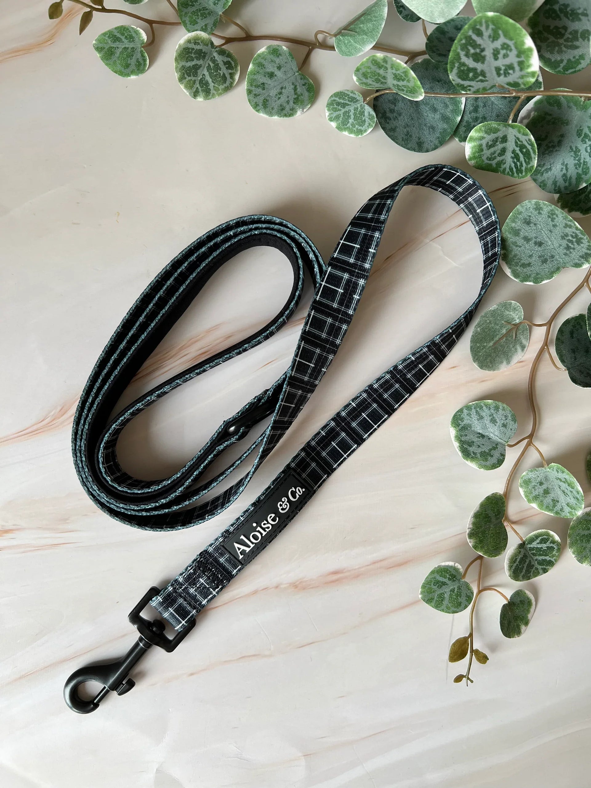A&C Lead Tartan