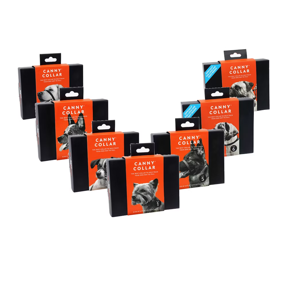 Canny Collar No-Pull Dog Headcollar - Black – Size 6