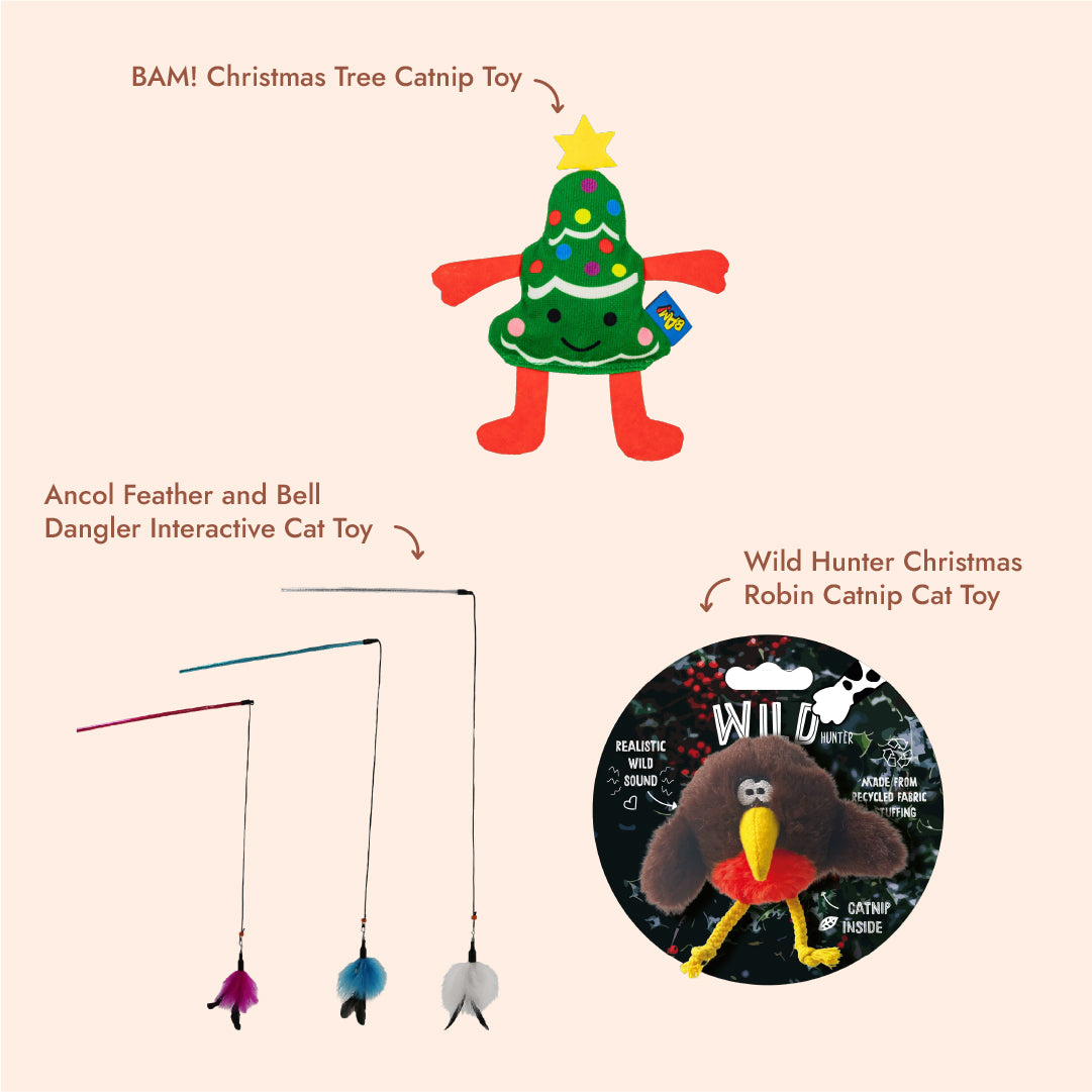 Cat Christmas Play Bundle