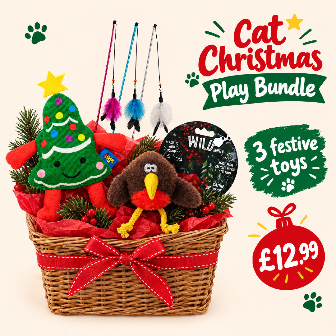 Cat Christmas Play Bundle