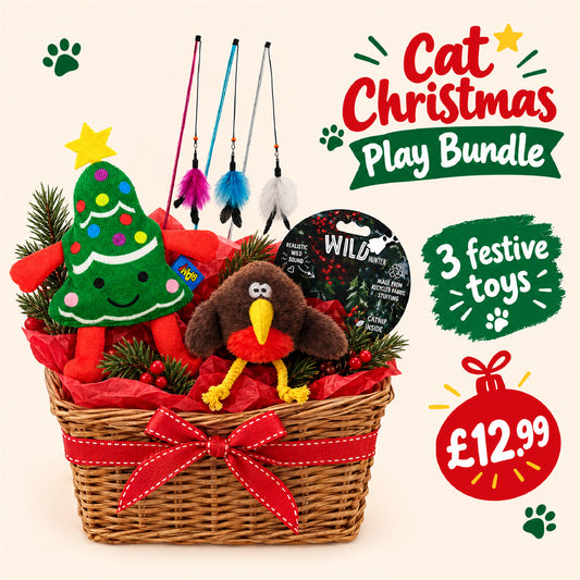 Cat Christmas Play Bundle