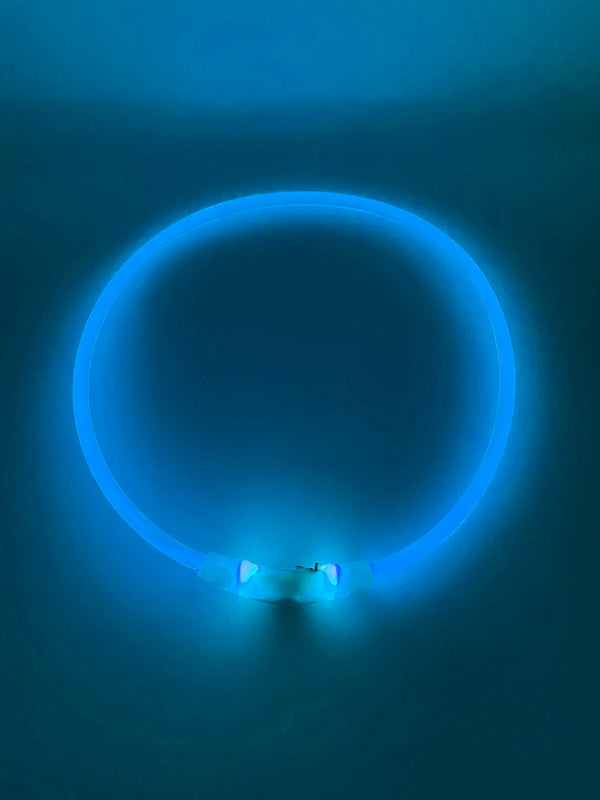 Flashing Collar - Clear Colours