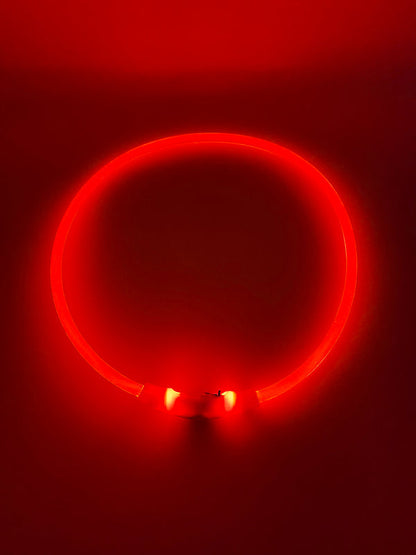 Flashing Collar - Clear Colours