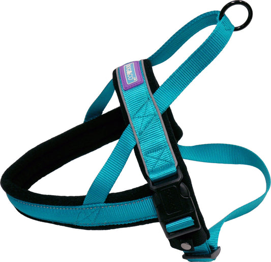 D&C XL Reflective Padded Harness Aqua