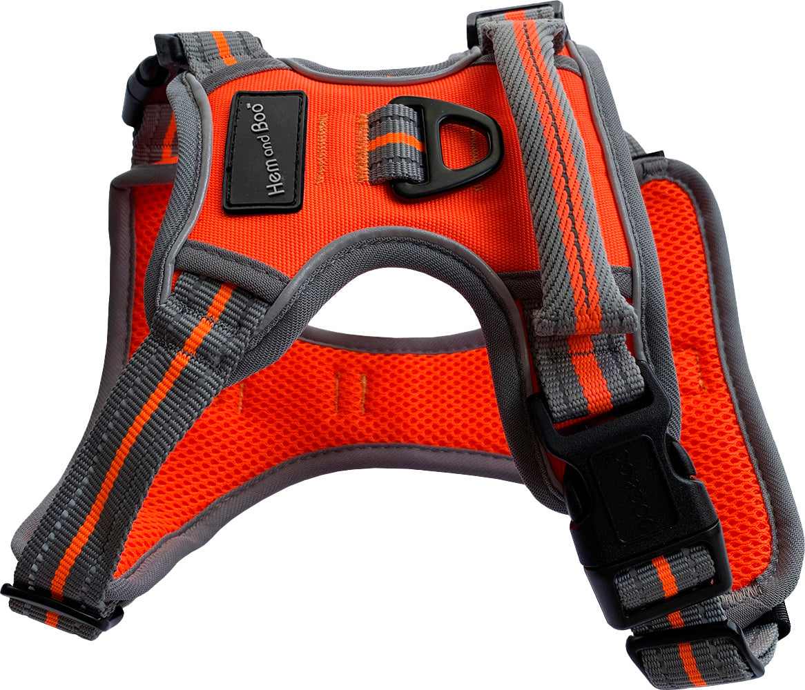 Large Sports Harness Orange