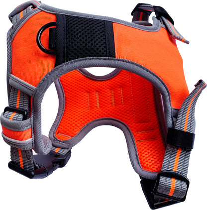 XL Sports Harness Orange