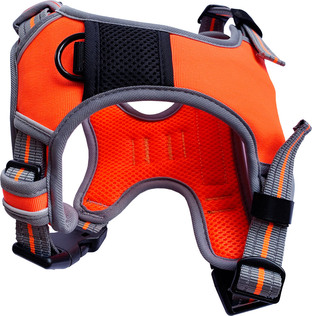 Small Sports Harness Orange