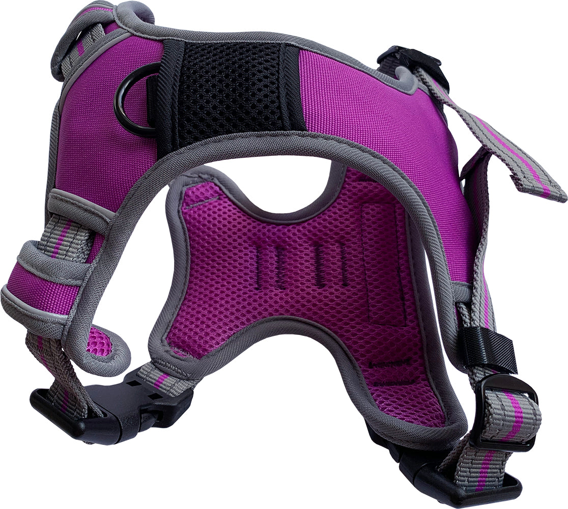 Large Sports Harness Purple