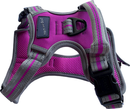 Large Sports Harness Purple