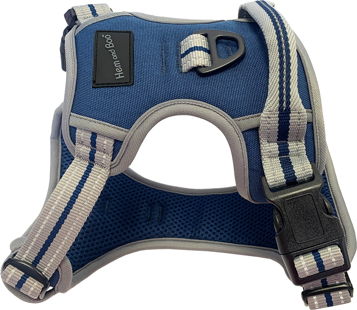 XS Sports Harness Blue