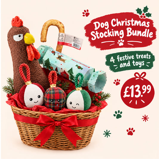 Dog Christmas Stocking Bundle – Festive Treats & Toys