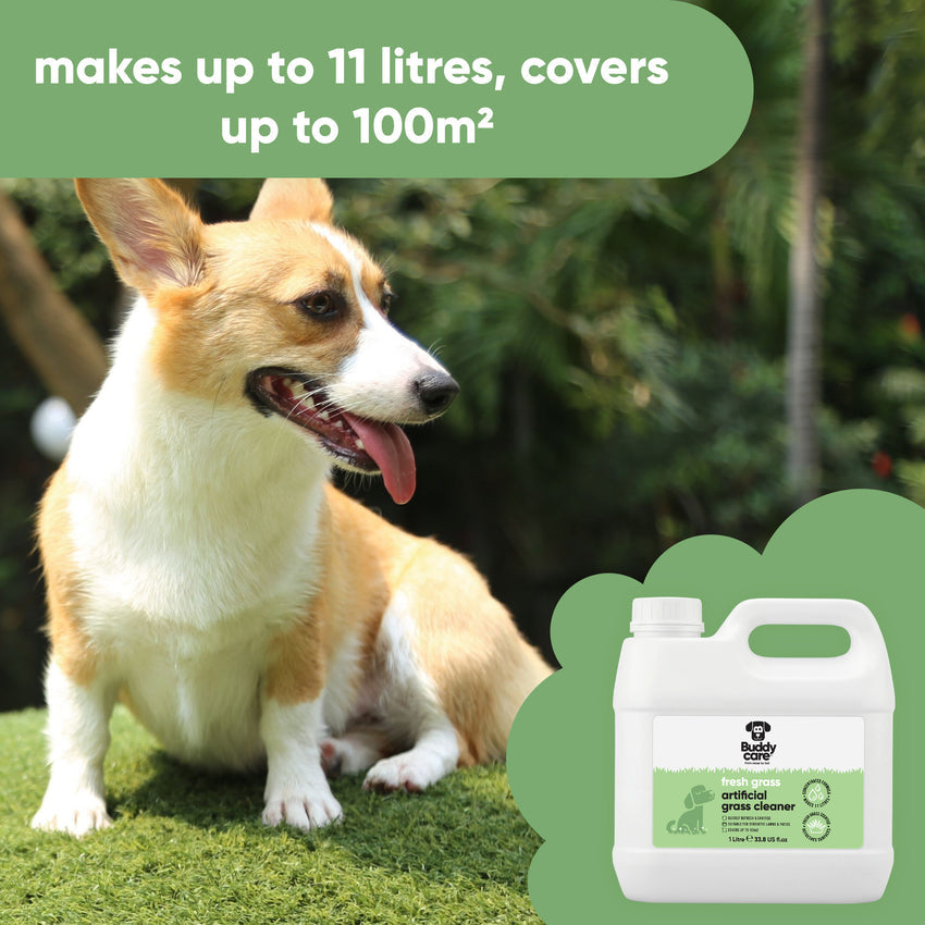 Buddycare Artificial Grass Cleaner - Fresh Grass - 1L / 33.8 fl oz