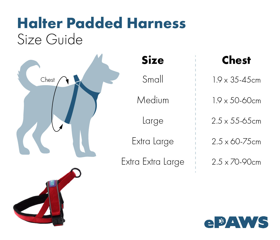 D&C Medium Reflective Padded Harness Aqua