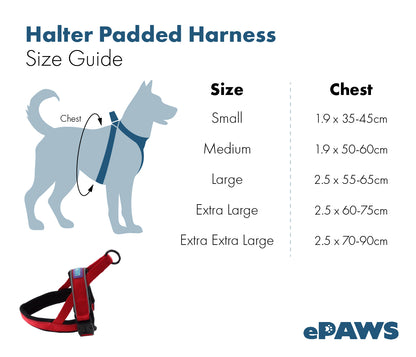 D&C Medium Reflective Padded Harness Aqua