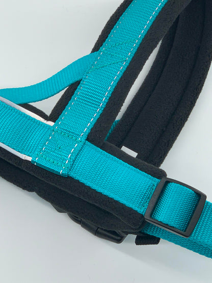 D&C Medium Reflective Padded Harness Aqua