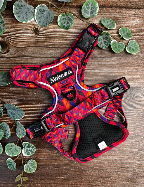 A&C MTW Harness Sunsets Medium