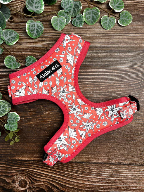 A&C Harness Little Lillies XS