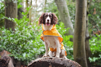 Sotnos Sunshine Yellow Raincoat M