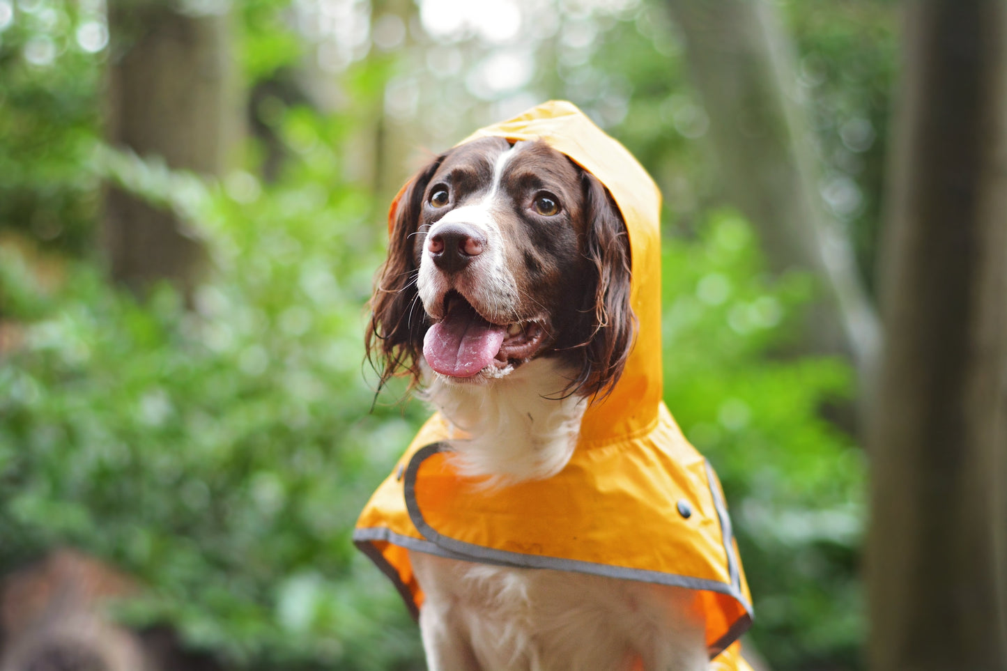 Sotnos Sunshine Yellow Raincoat M