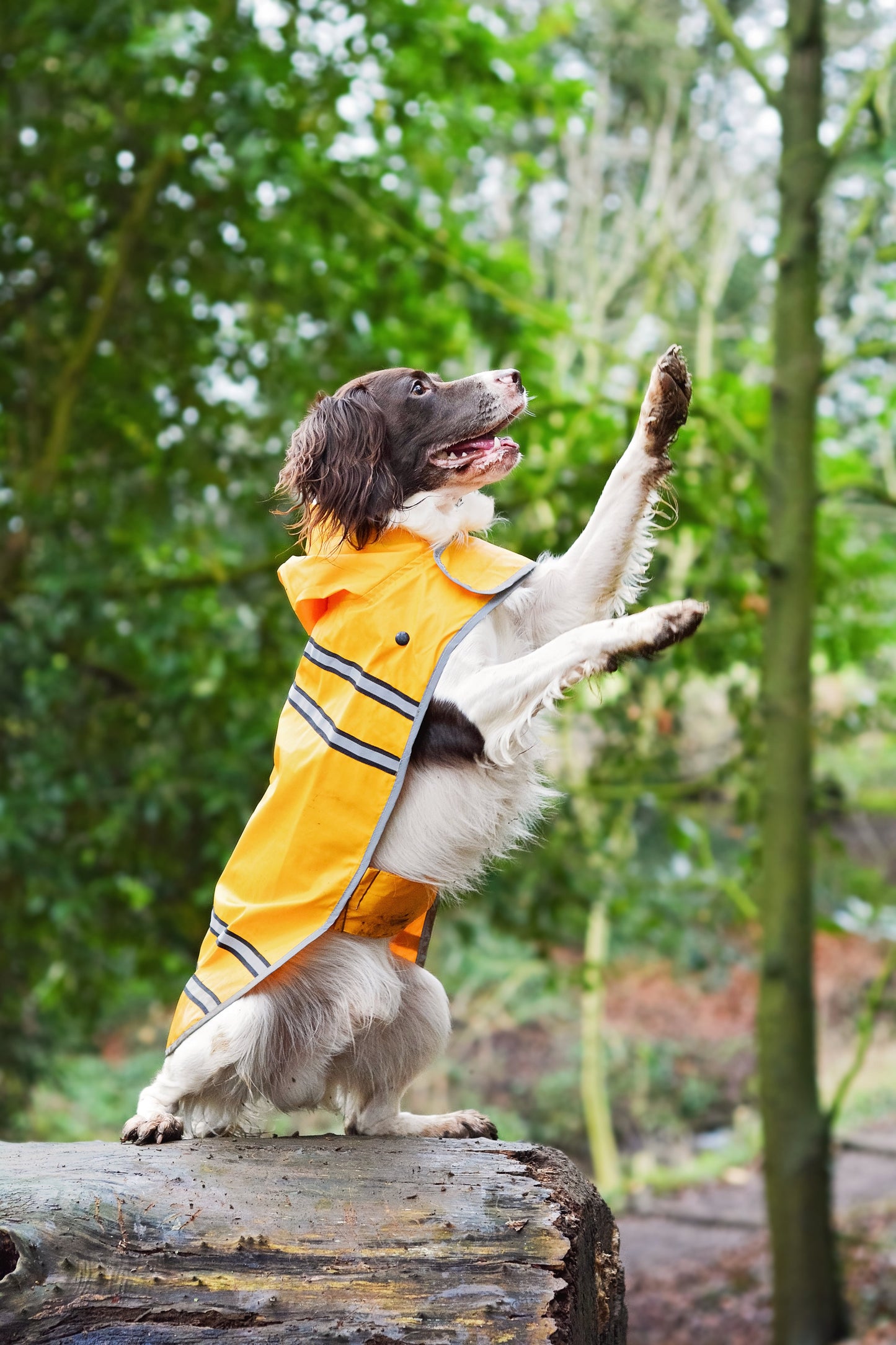 Sotnos Sunshine Yellow Raincoat L