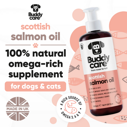 Buddycare Salmon Oil - 1L / 33.8 fl oz