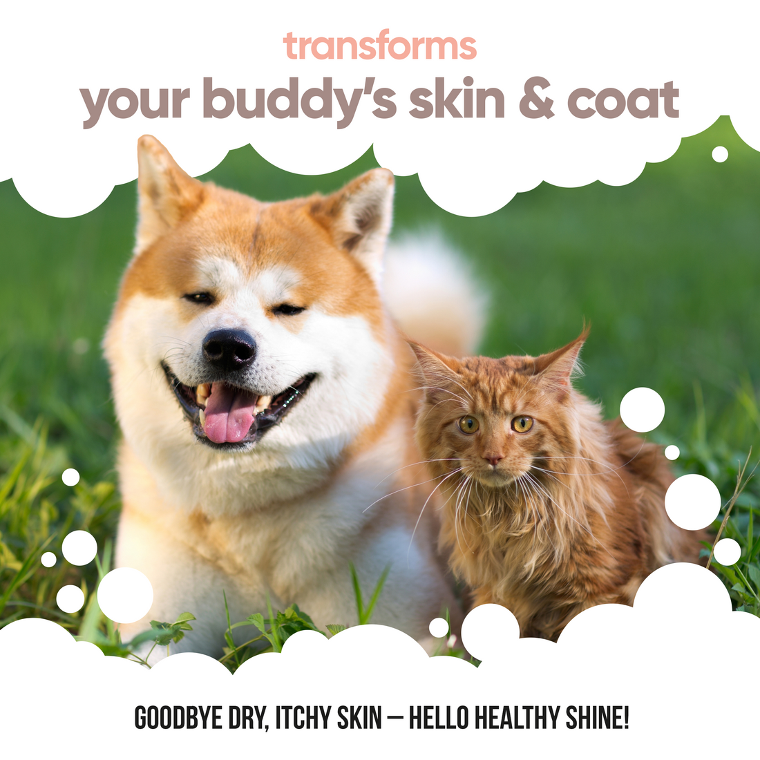 Buddy Care Salmon Oil - 5L / 1.32 Gal