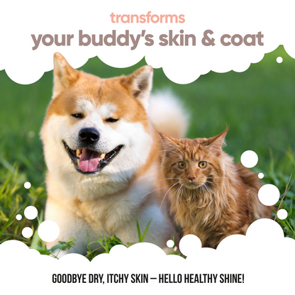 Buddy Care Salmon Oil - 5L / 1.32 Gal