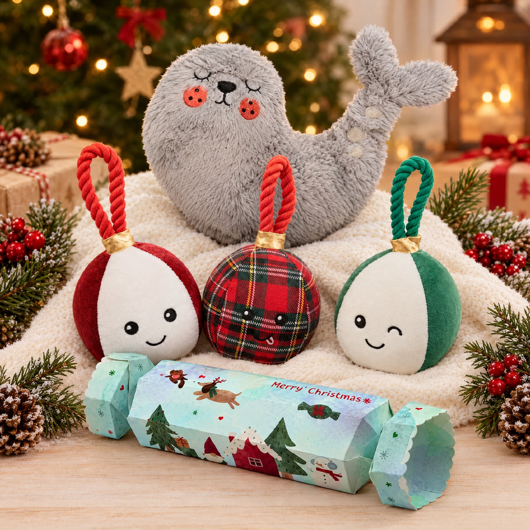 Puppy Starter Kit – Christmas Bundle