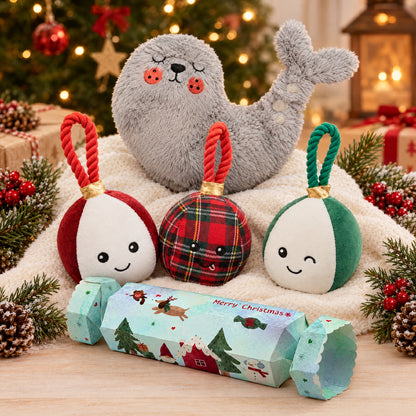 Puppy Starter Kit – Christmas Bundle