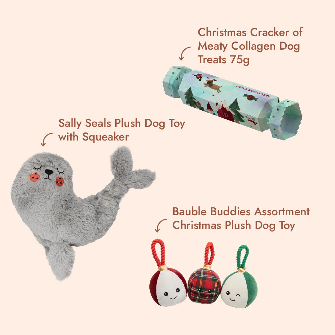 Puppy Starter Kit – Christmas Bundle