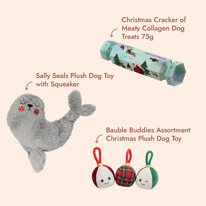 Puppy Starter Kit – Christmas Bundle