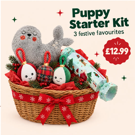Puppy Starter Kit – Christmas Bundle