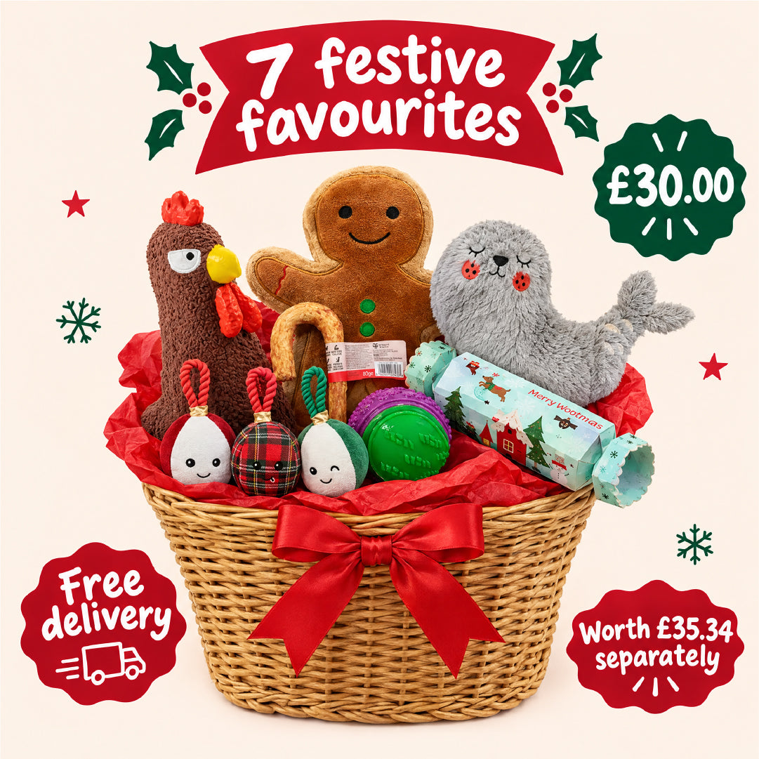 The Ultimate Christmas Dog Pack