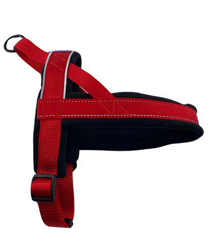 D&C Medium Reflective Padded Harness Red