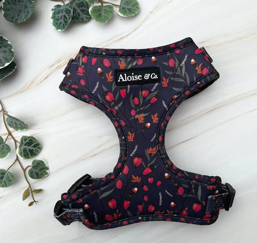 A&C Harness Very Berry XS