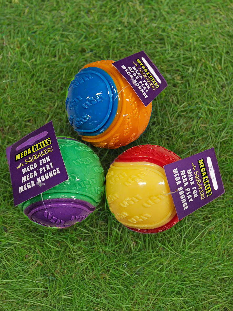 TPR Large Squeaky Tennis Ball