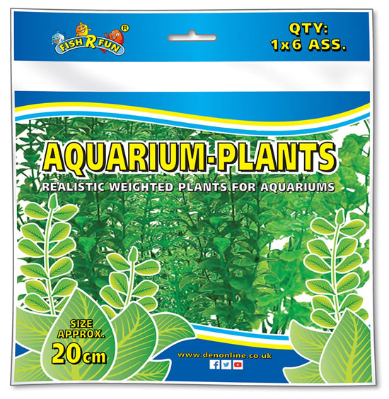 Plant & Base Pack 6