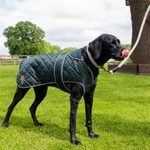 Heritage Green XL Quilted Coat