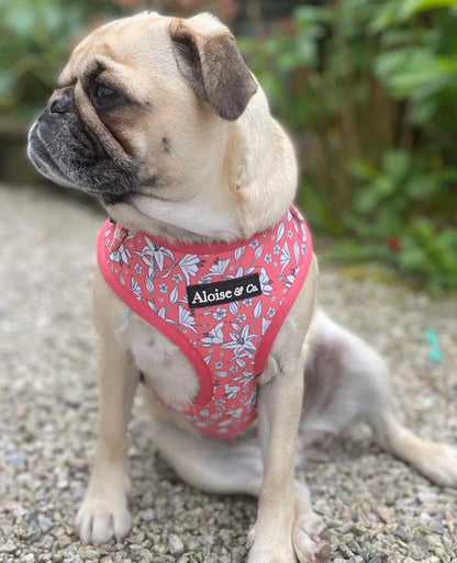 A&C Harness Little Lillies Small