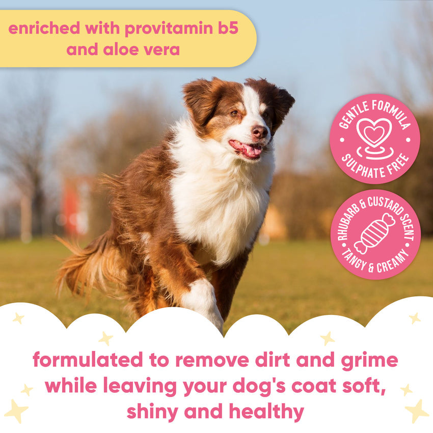 Buddycare Dog Shampoo - Rhubarb & Custard - 500ml / 16.9 fl oz