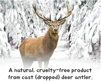 XL Split Antler