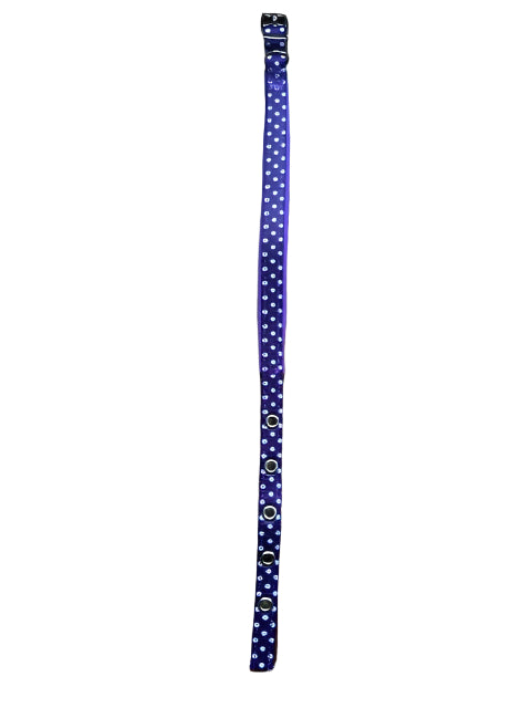 Polka Dot Nylon Collar Purple Small
